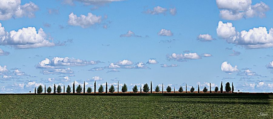 "Simetra de campo" de Solis Alba Iris