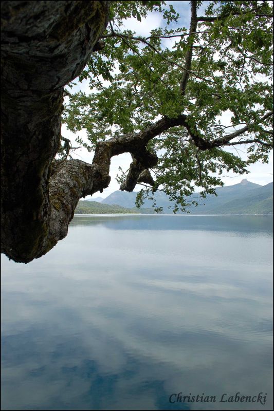 "Hacia el lago y la montaa..." de Christian Labencki