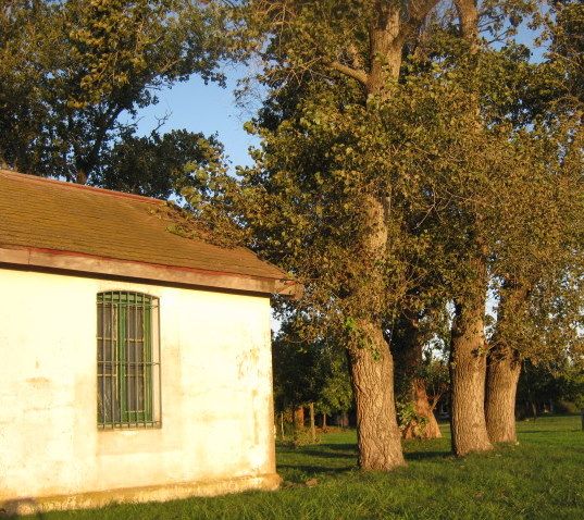 "La belleza de un atardecer" de Mara Griselda Garca Cuerva