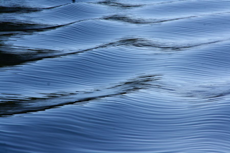 "Ondas en el lago Lacar" de Daniel Gustavo Bravo