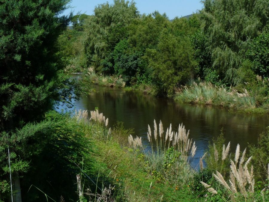 "rio serrano" de Maria Susana Polizzi