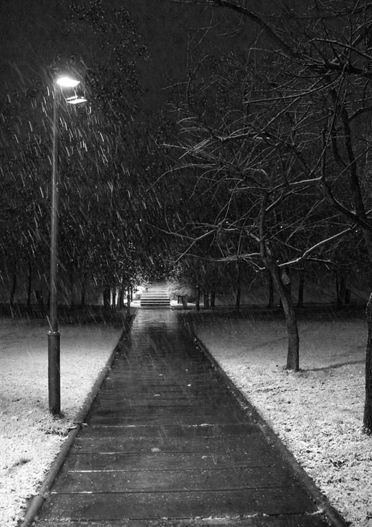 "Nieve en Puerto Madero" de Mario Abad