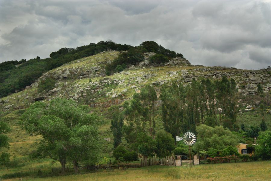 "El molino" de Carmen Nievas