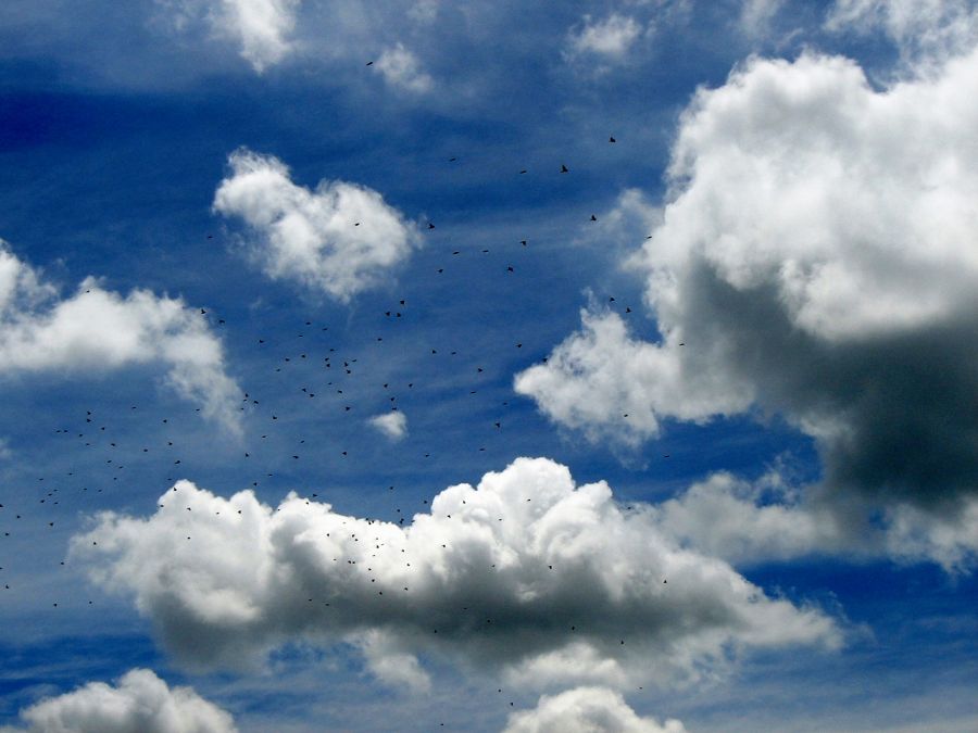 "Nubes viajeras" de Alma Delia Franco Cacho