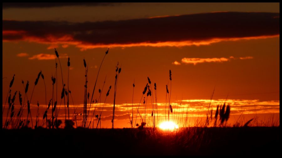 "de atardeceres en atardeceres" de Noemi Gomez