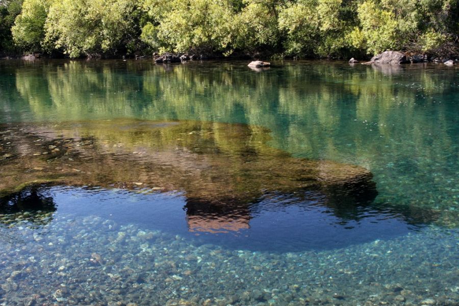 "Un total lujo de la naturaleza" de Maria Cristina Silva