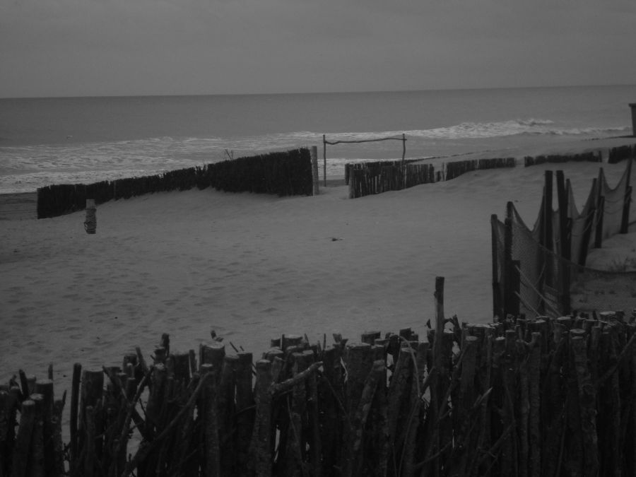 "Playa Solitaria" de Carlos Goverchesky