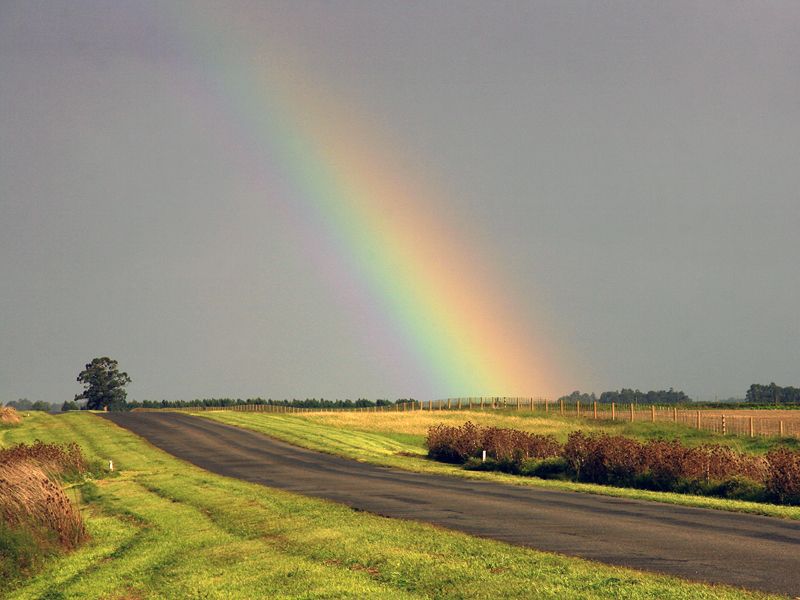 "Arco Iris" de Eli - Elisabet Ferrari