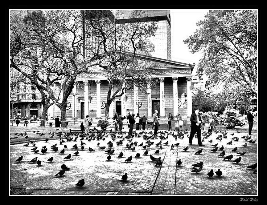 "las palomas de la plaza" de Ral Riba