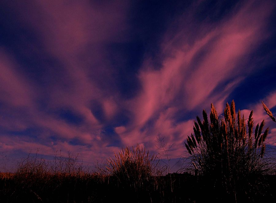 "Trazos, nubes y algo ms..." de Claudio Nicastro