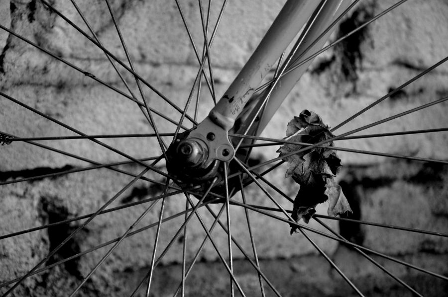 "Otoo en bicicleta" de Nestor Ponce