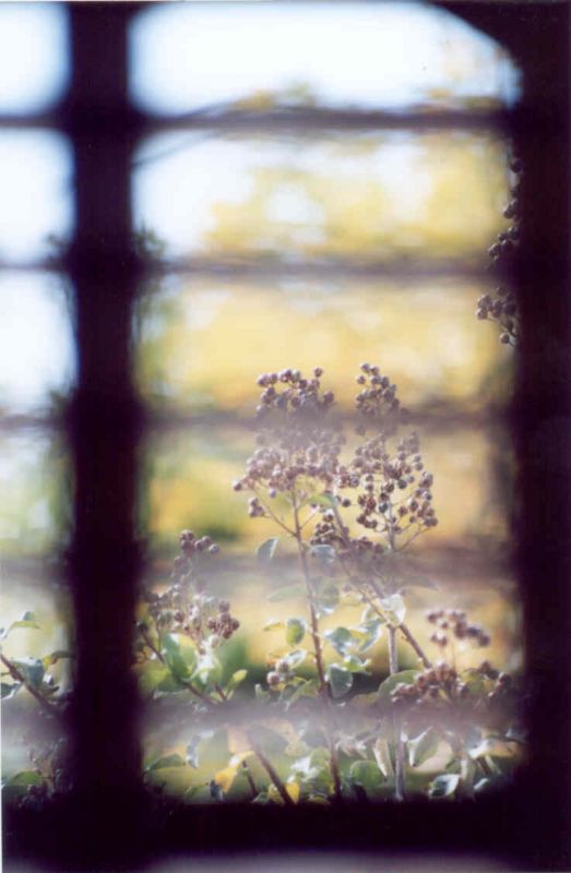 "a traves de la ventana" de Guillermo Giordano