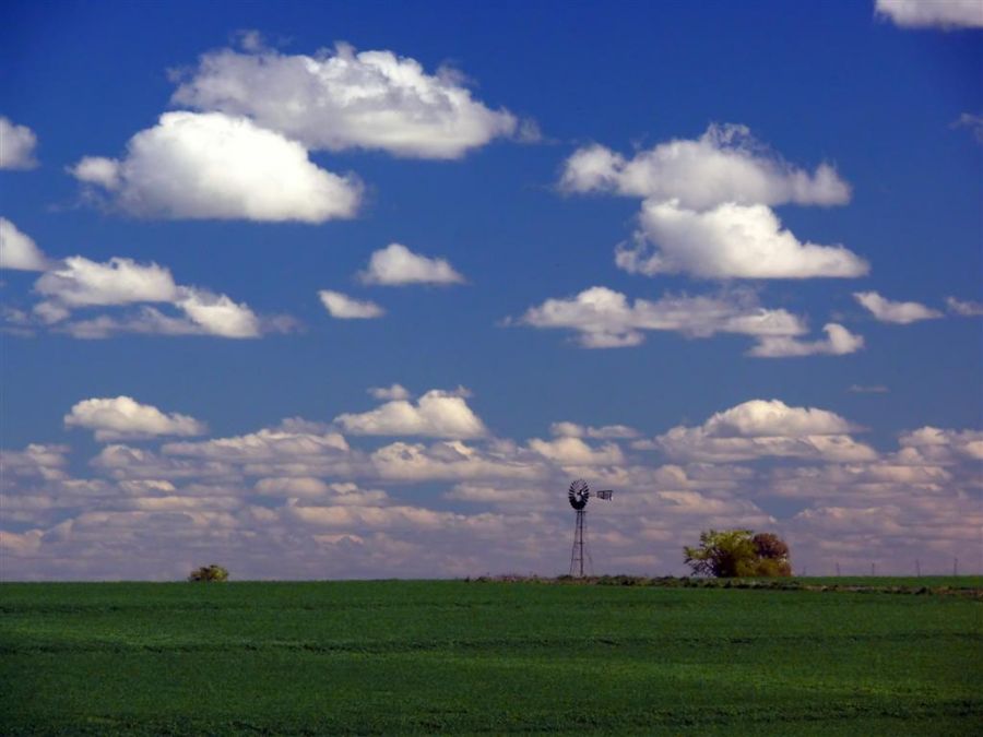 "En la paz del campo..." de Mario Abad