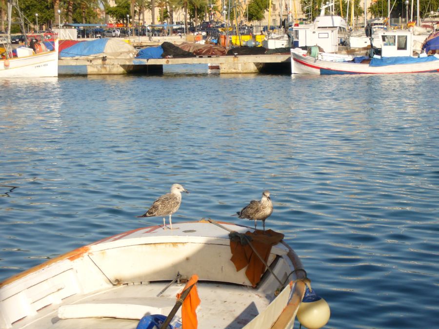 "Un paseo junto al puerto" de laly blazquez gil