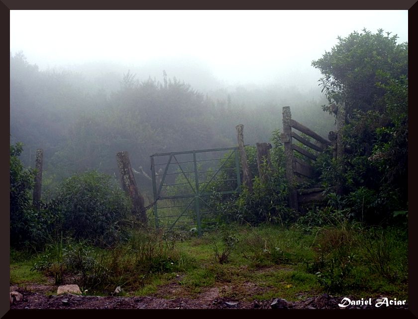 "EL JARDIN SECRETO" de Daniel Aciar