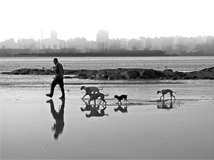 "Paseando" de Arturo Rey