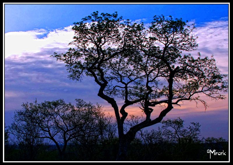 "otro atardecer" de Mirta Steinberg