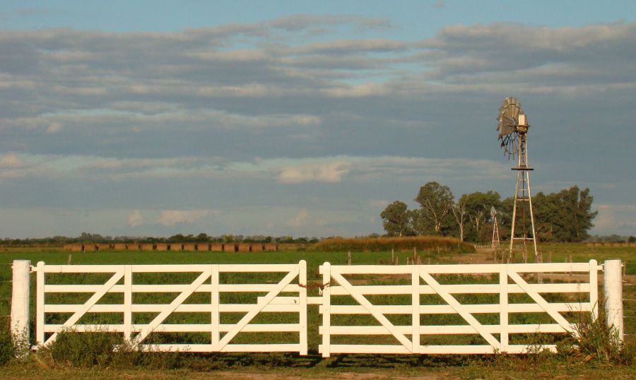 "La tranquilidad del campo" de Claudia Alejandra Allala