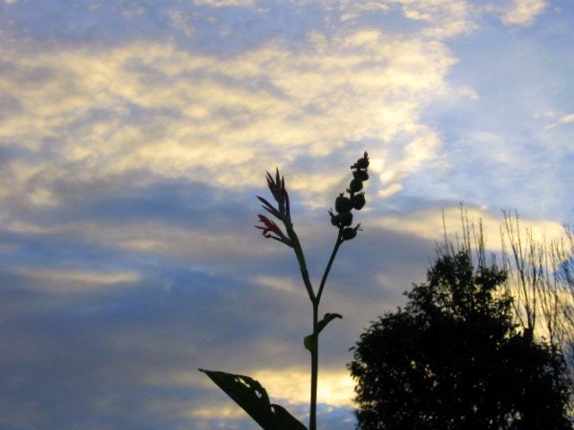 "Atardecer de otoo" de Mara Griselda Garca Cuerva