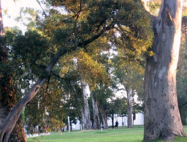 "Belleza otoal" de Mara Griselda Garca Cuerva