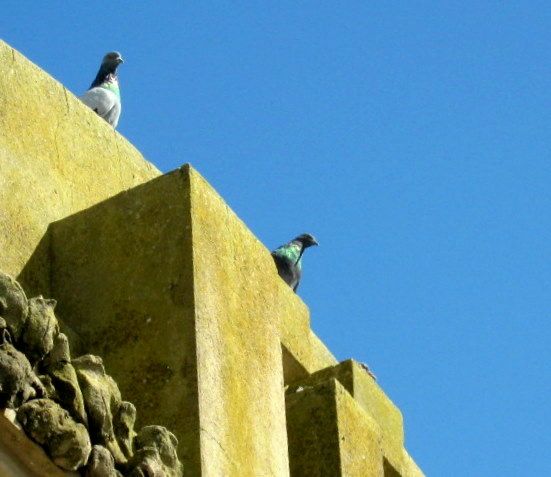 "Observando el mundo" de Mara Griselda Garca Cuerva