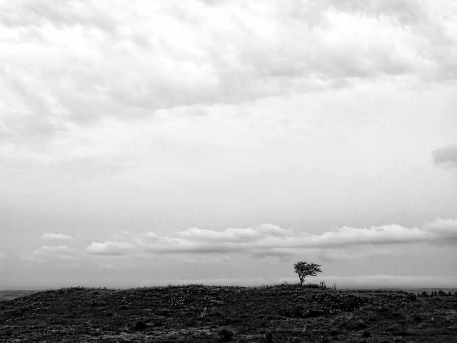 "Solo en la sierra" de Arturo Rey