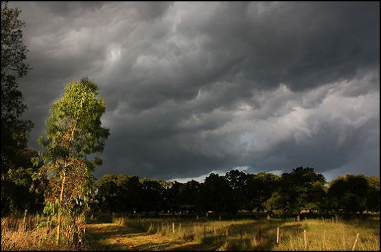 "Esperando la tormenta" de Walter Belfiore