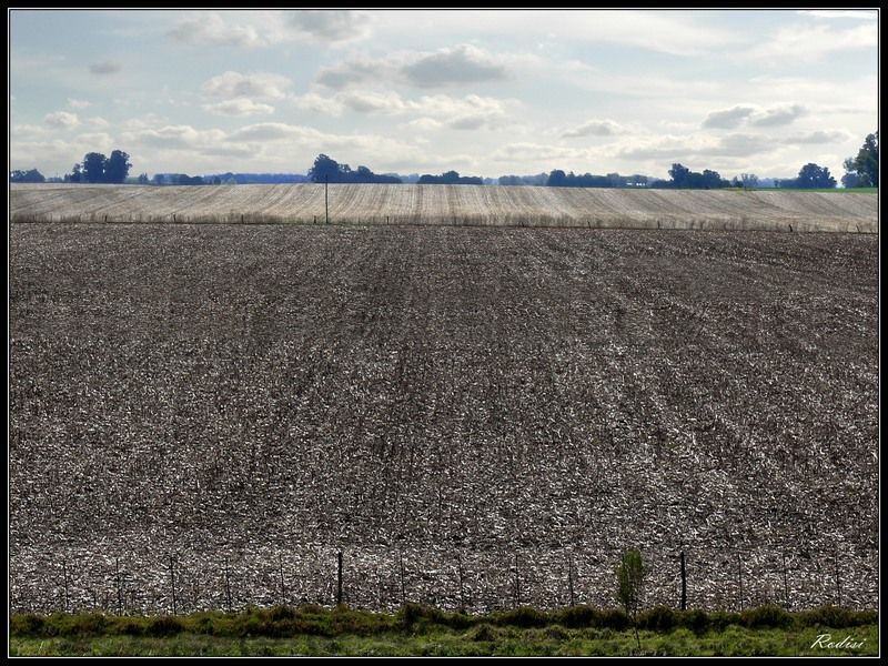 "Tierra labrada..." de Roberto Di Siervi