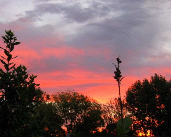 "Colores en el cielo" de Mara Griselda Garca Cuerva