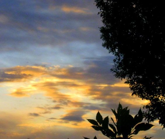 "Colores en el cielo I" de Mara Griselda Garca Cuerva