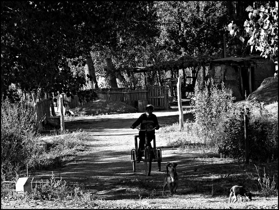 "Paseo en Uspallata" de Alberto Elizalde