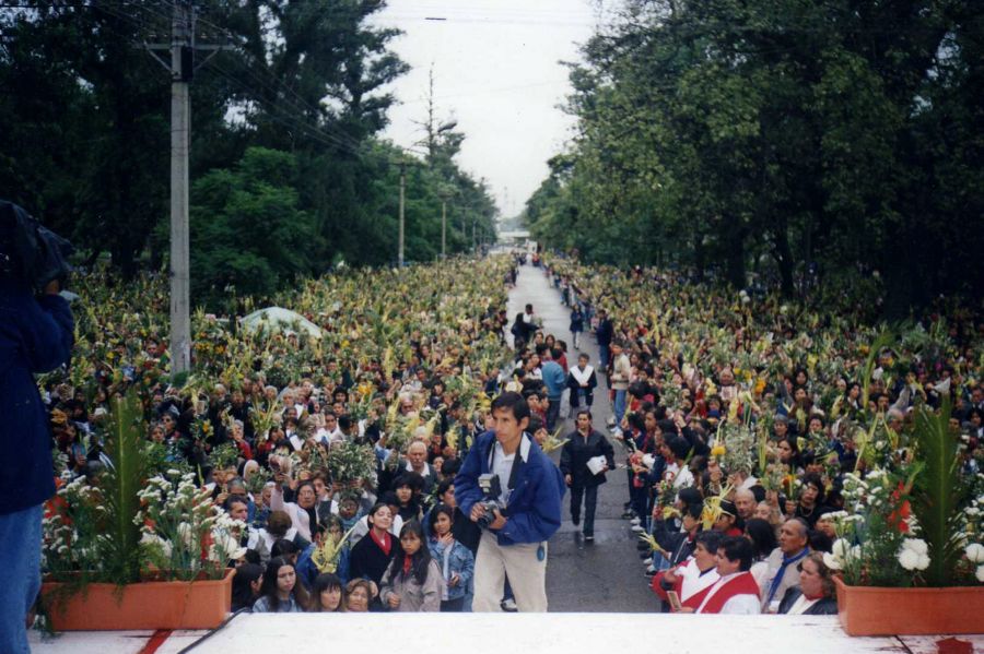 "Domingo de ramos" de Seba Japas