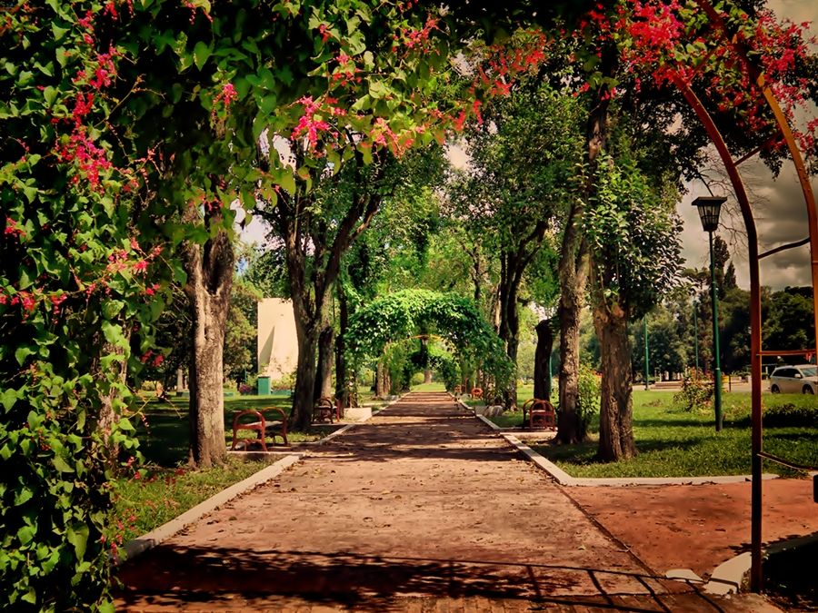 "la pergola" de Ral Riba