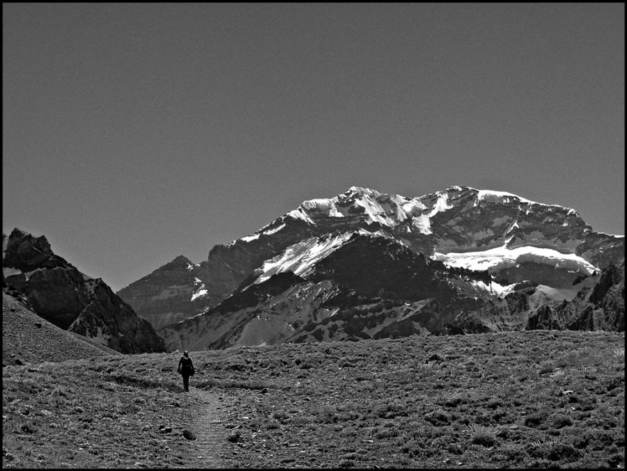 "En el fondo, su Majestad" de Alberto Elizalde