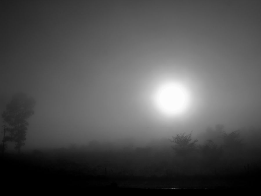 "Amanece en mi ventana" de Arturo Rey