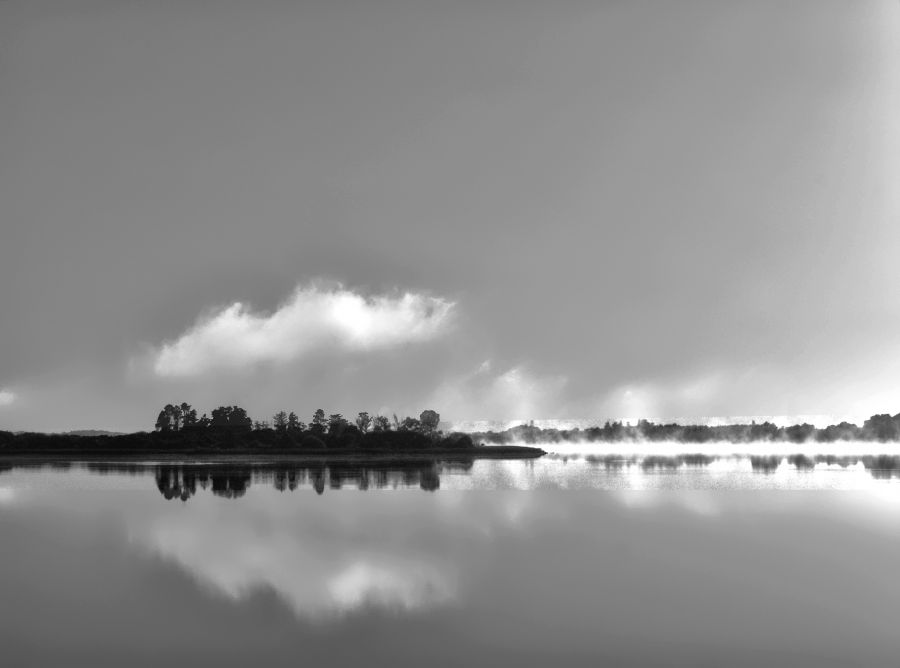 "Niebla en el lago" de Arturo Rey