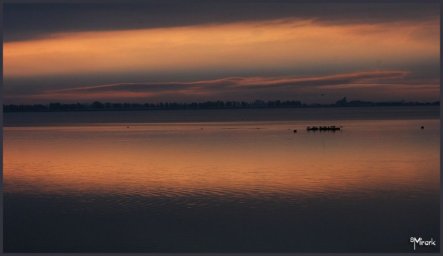 "Simplemente horizonte" de Mirta Steinberg