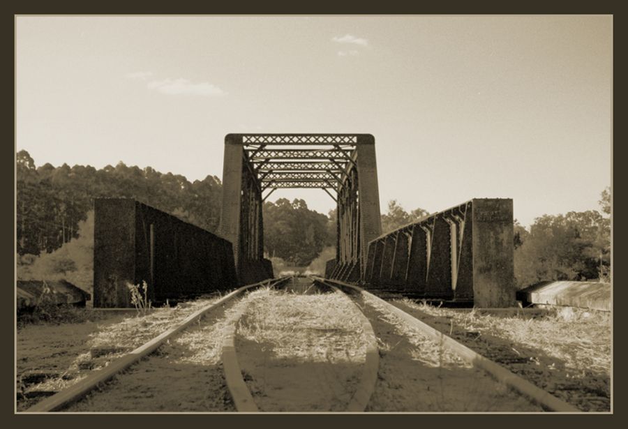 "Recorriendo en la zorra1" de Maria Cristina Silva