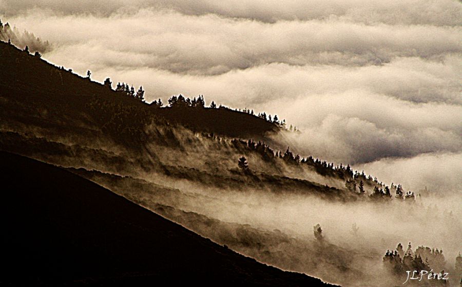 "Mar de nubes, vientos alisios" de Juan Luis Prez Garca