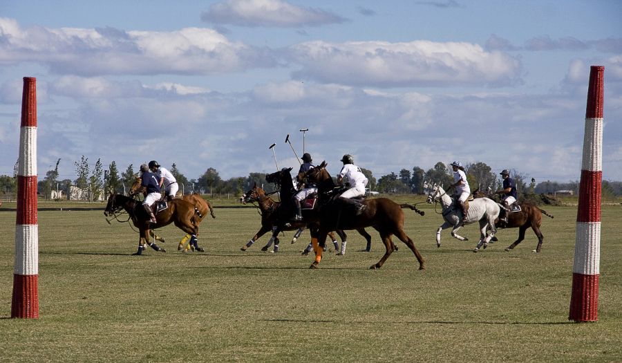 "Polo en Sauveterre" de Manuel Raul Pantin Rivero