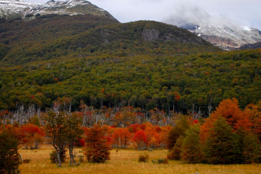 "Otoo en Tierra del Fuego" de Daniel Montoya