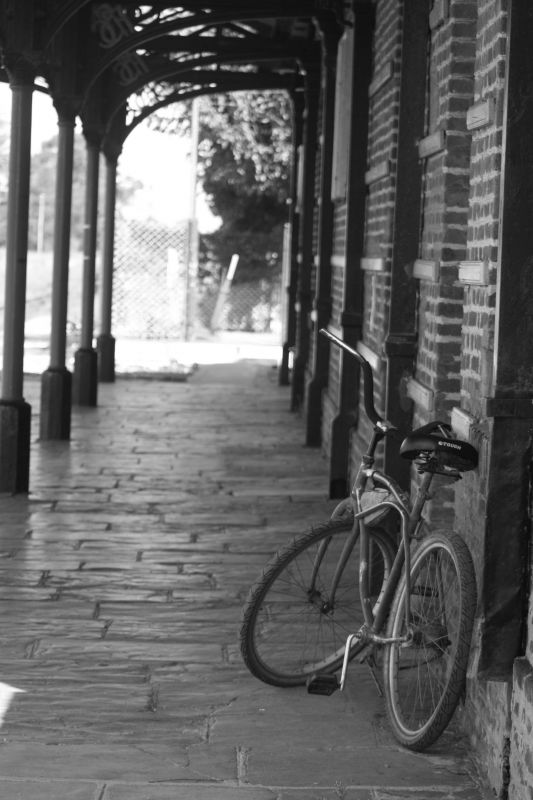 "La bici de la estacin" de Emilse Agostinetti