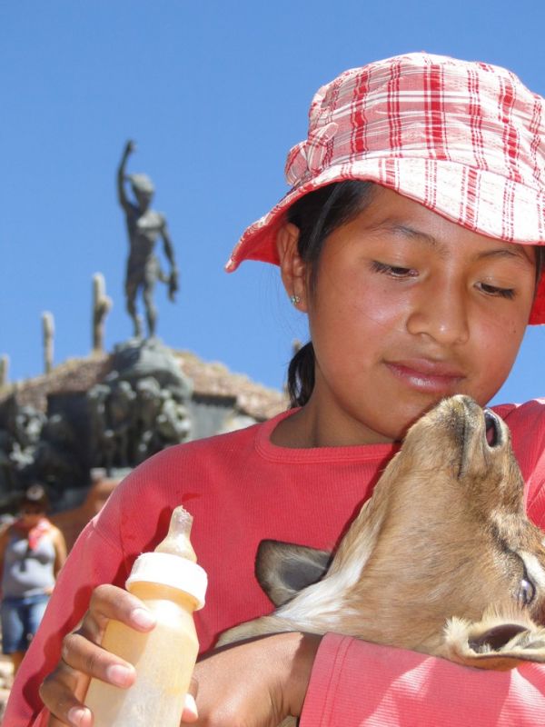 "dulce amistad" de Gustavo Gomez Accietto