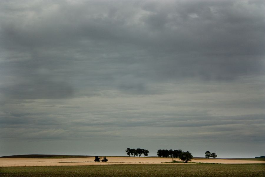 "Horizonte" de Carmen Nievas