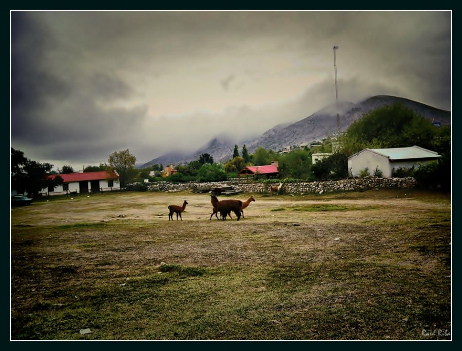 "Paisaje tpico" de Ral Riba