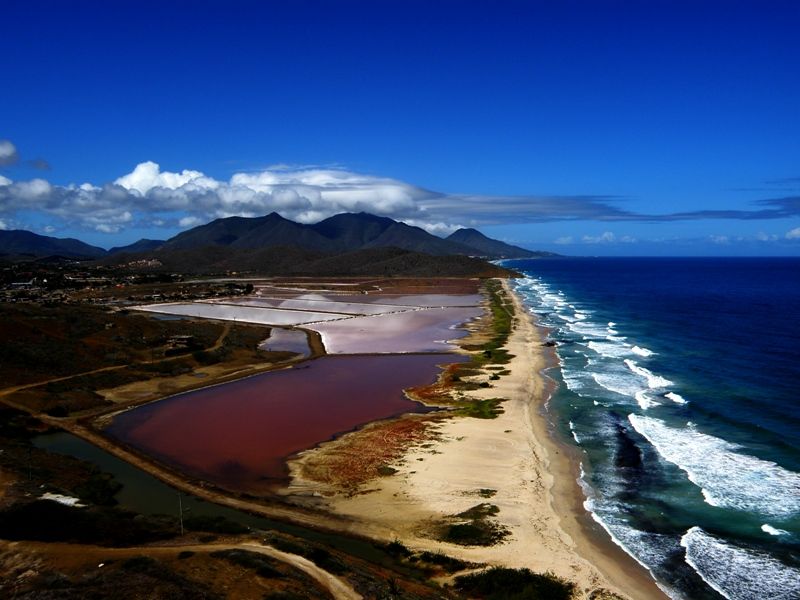 "Salinas" de Patxi Larrauri