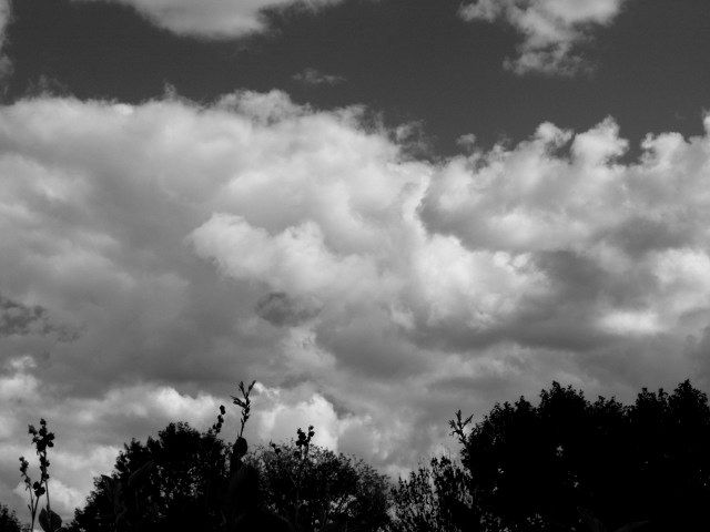 "Nubes y sueos" de Mara Griselda Garca Cuerva