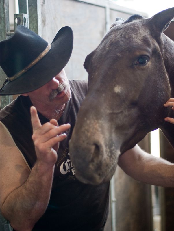 "Cara de Caballo" de Hernan Puig