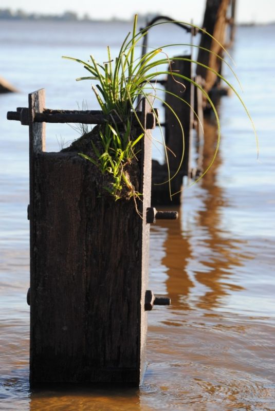 "Restos del muelle" de Diego Galndez