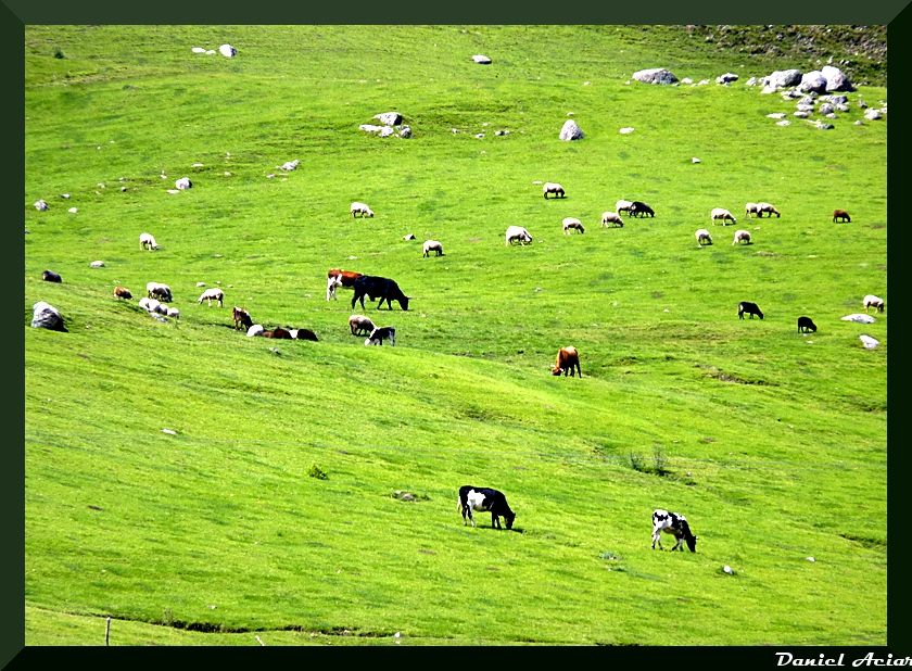 "TAFI DEL VALLE" de Daniel Aciar